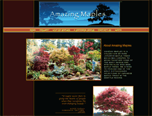 Tablet Screenshot of amazingmaples.com